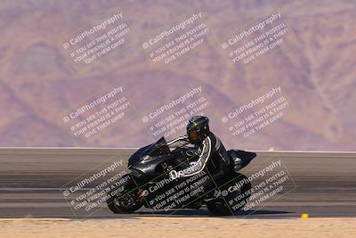 media/Dec-09-2023-SoCal Trackdays (Sat) [[76a8ac2686]]/Turn 12 Speed (140pm)/